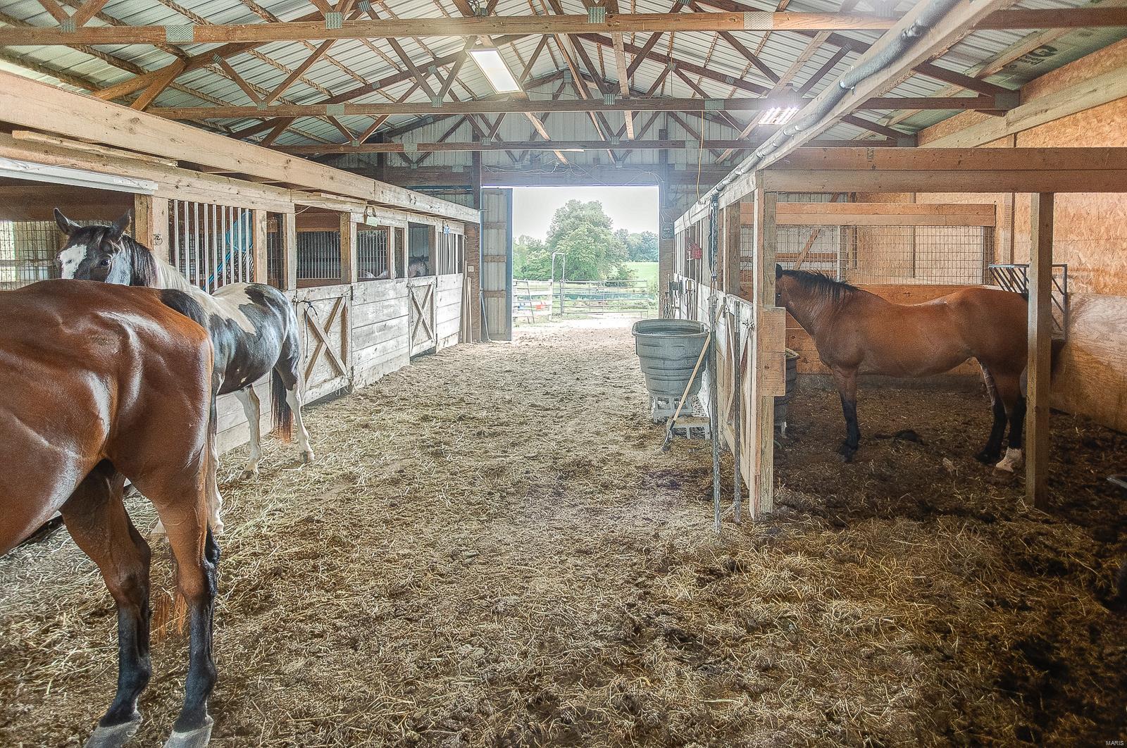 33298 Kane Road Medora, IL 62063 - Photo 35 of 38