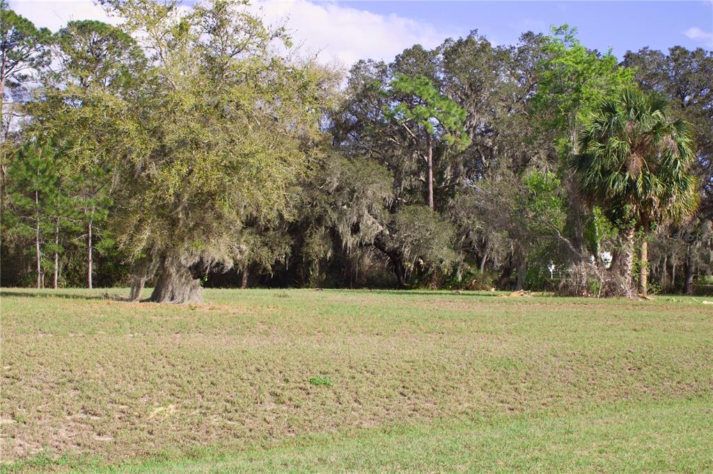 Ridge Road, Unit 47 Tavares, FL 32778 - Photo 8 of 41