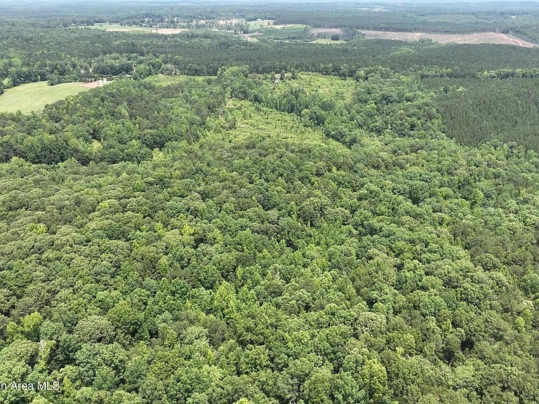 0 Lindsey Road Coosada, AL 36020 - Photo 28 of 31 Gallery Image 28