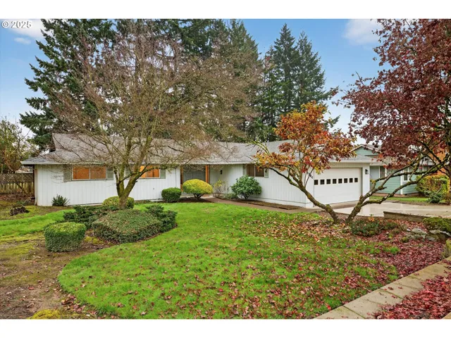 a view of a back yard