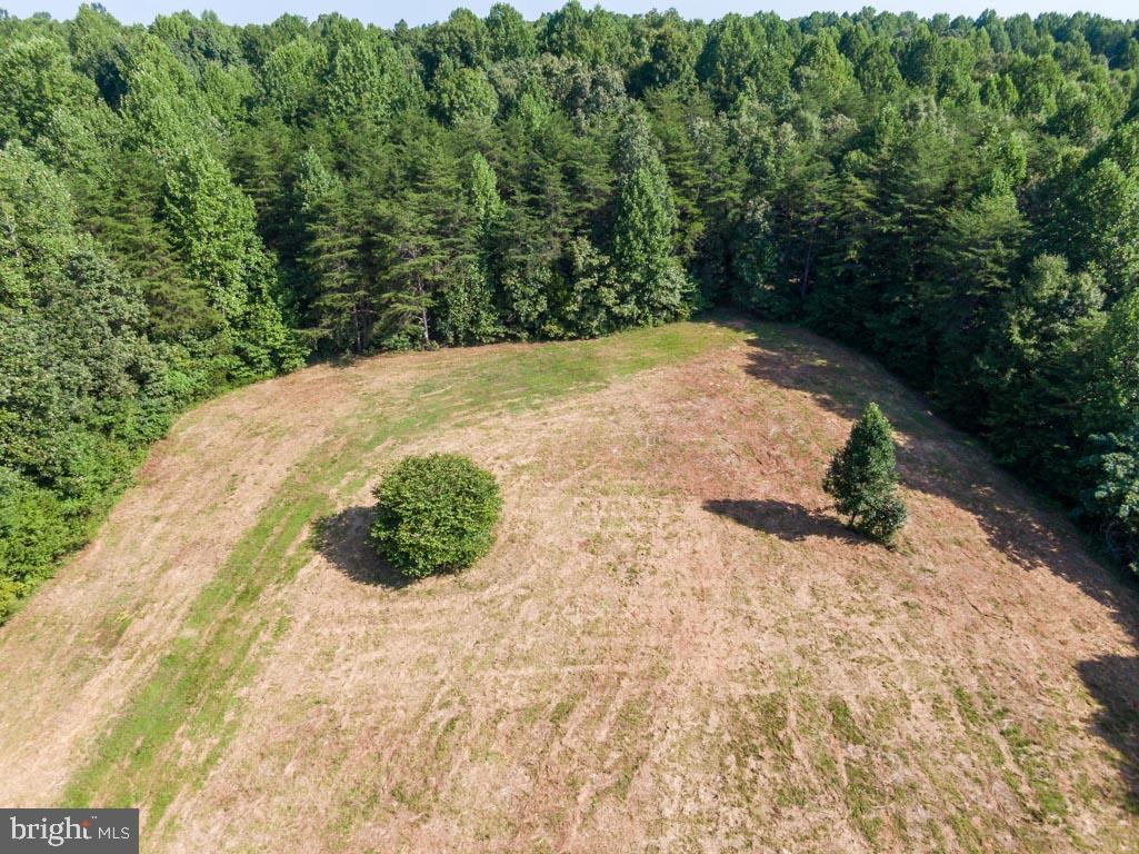 0 Terry's Run Road Unionville, VA 22567 - Photo 2 of 13 Cleared 1 acre with 55.211 acres of forest