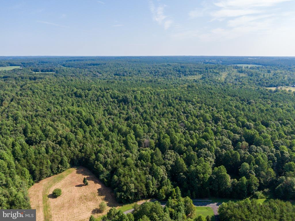 0 Terry's Run Road Unionville, VA 22567 - Photo 3 of 13 Perc for a 4 Bedroom Conventional system