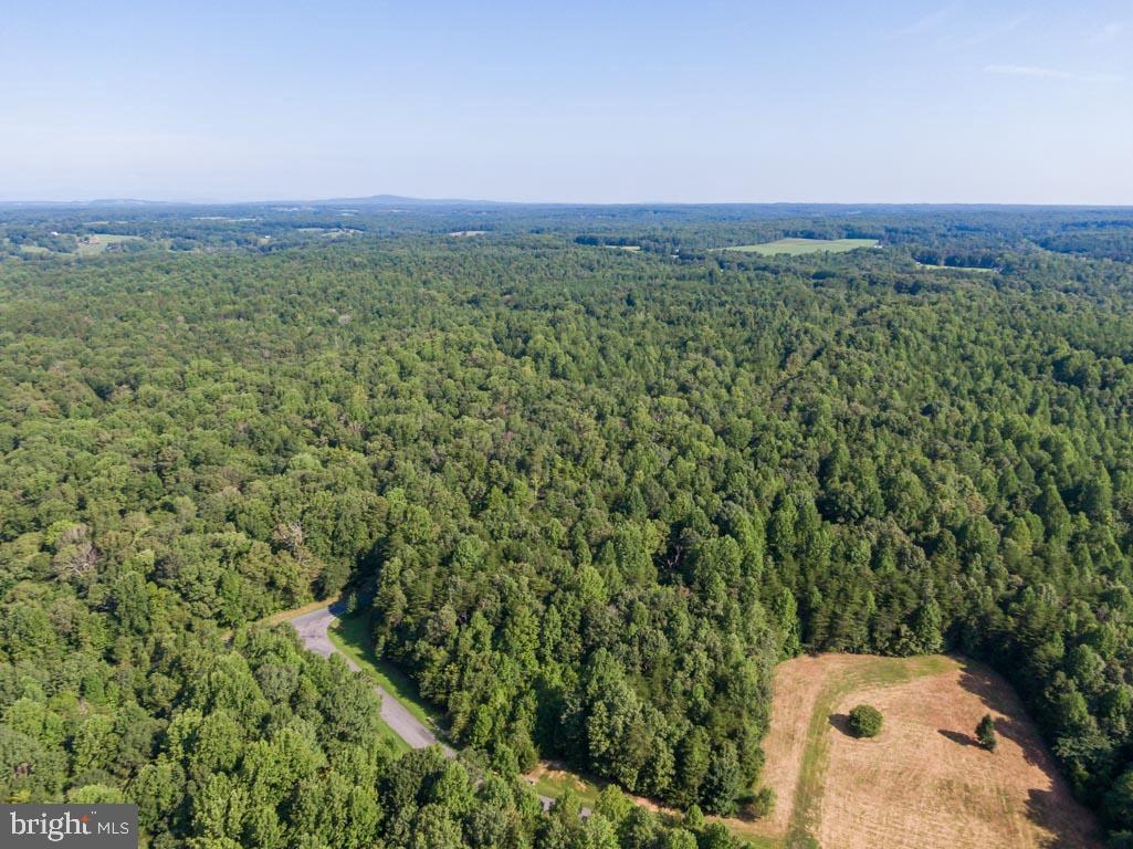0 Terry's Run Road Unionville, VA 22567 - Photo 5 of 13 Gallery Image 5
