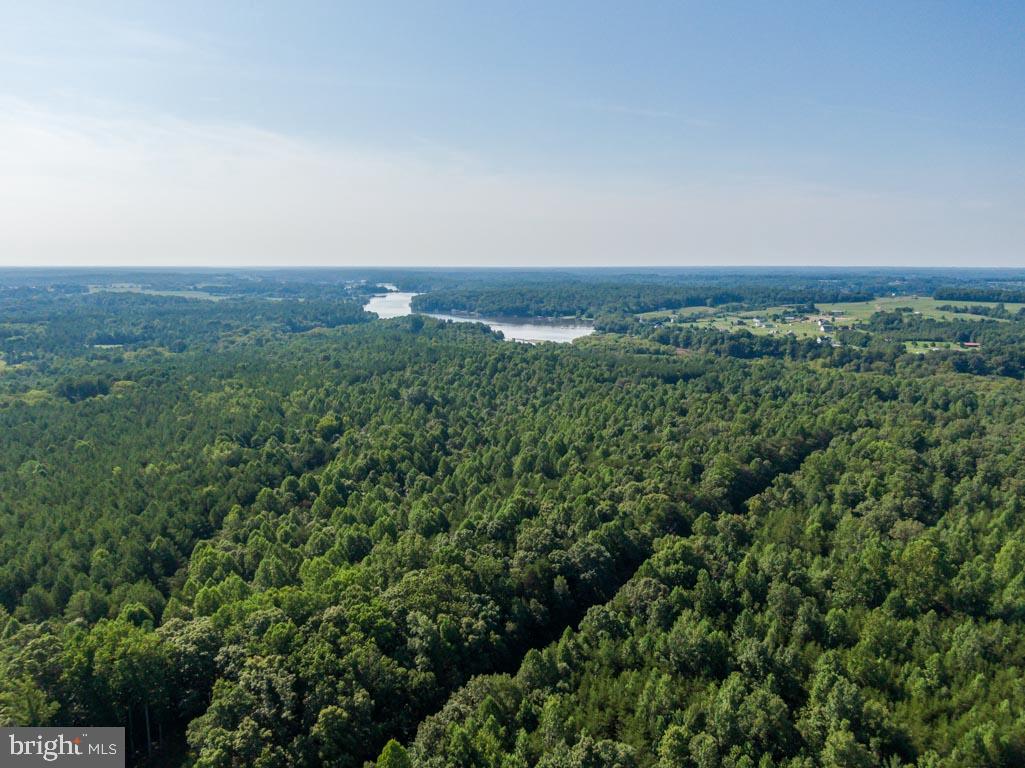 0 Terry's Run Road Unionville, VA 22567 - Photo 8 of 13 Gallery Image 8