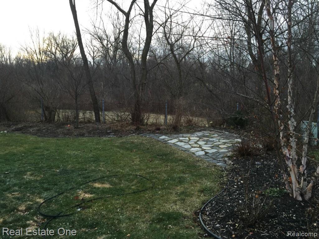 1600 Dunston Road Canton, MI 48188 - Photo 32 of 39 Great View of Wooded Lot from Great Room and Patio.