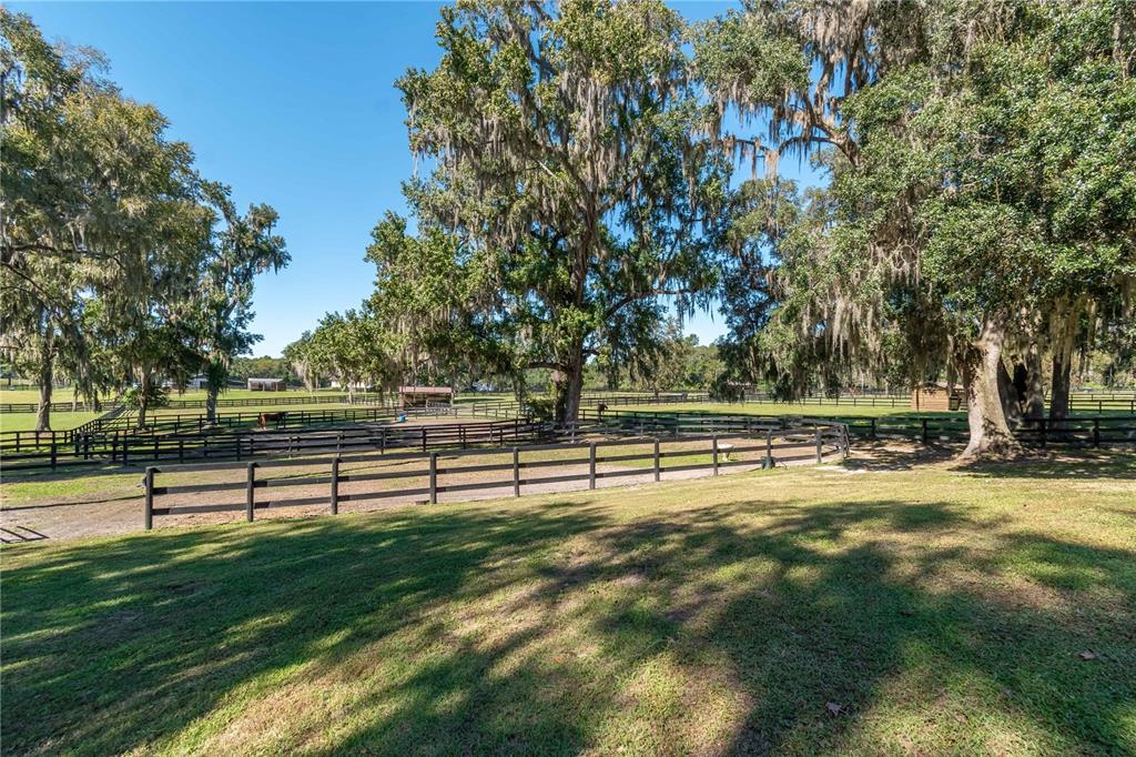 8820 Northwest 130th Street Reddick, FL 32686 - Photo 46 of 67