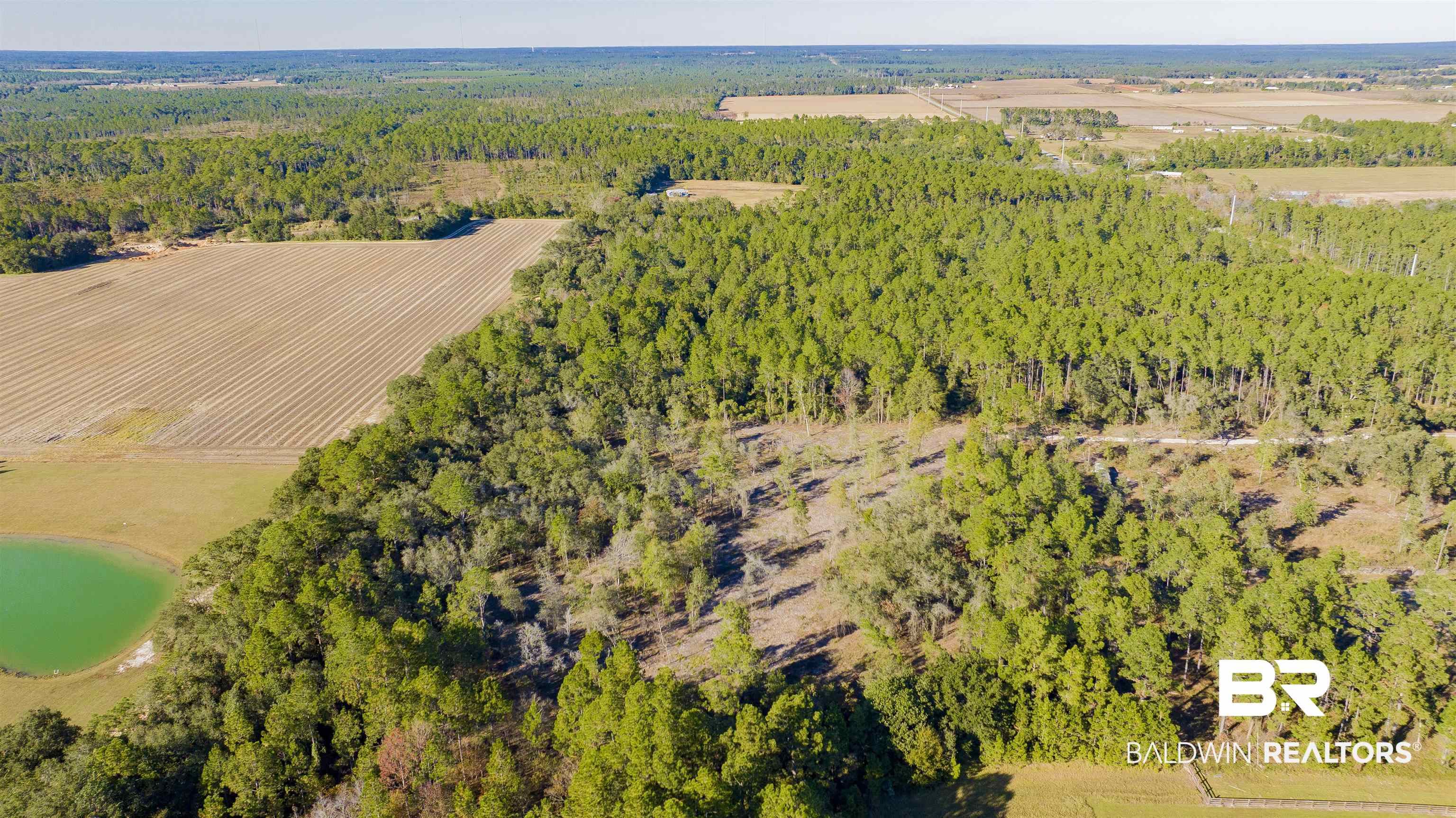 0 County Road 95 Elberta, AL 36530 - Photo 7 of 11