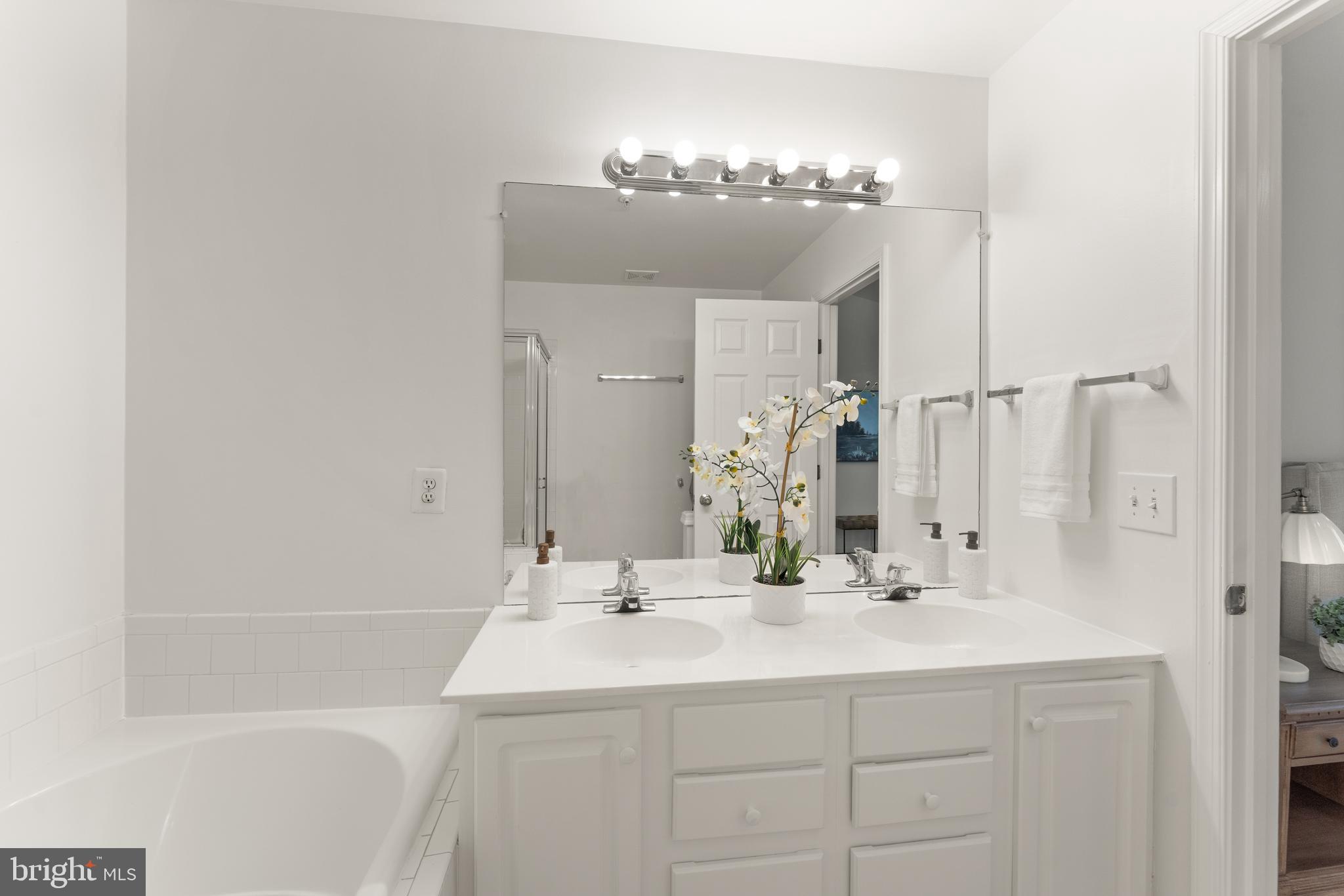 21777 Baldwin Square, Unit 301 Sterling, VA 20164 - Photo 24 of 33 a bathroom with a sink and a mirror