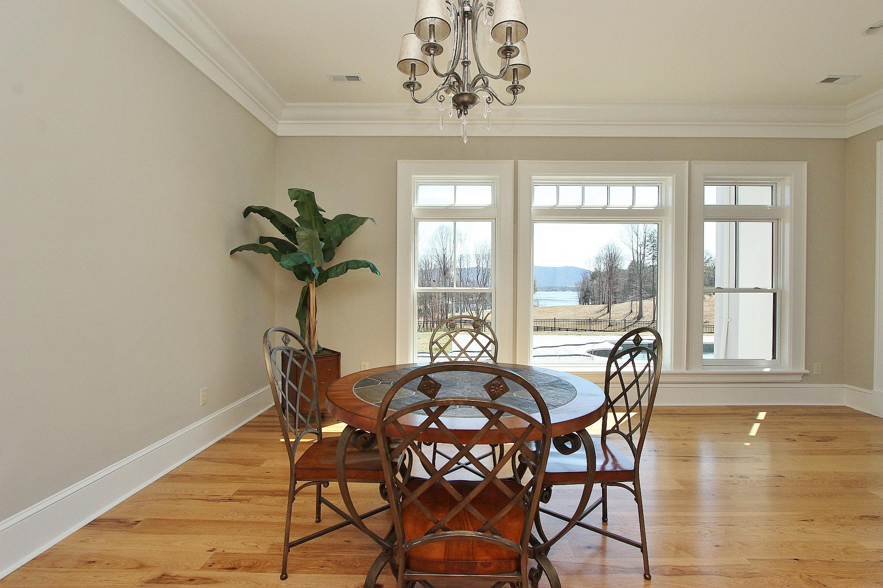 220 Ashmeade Road Moneta, VA 24121 - Photo 31 of 52 IMG_9504