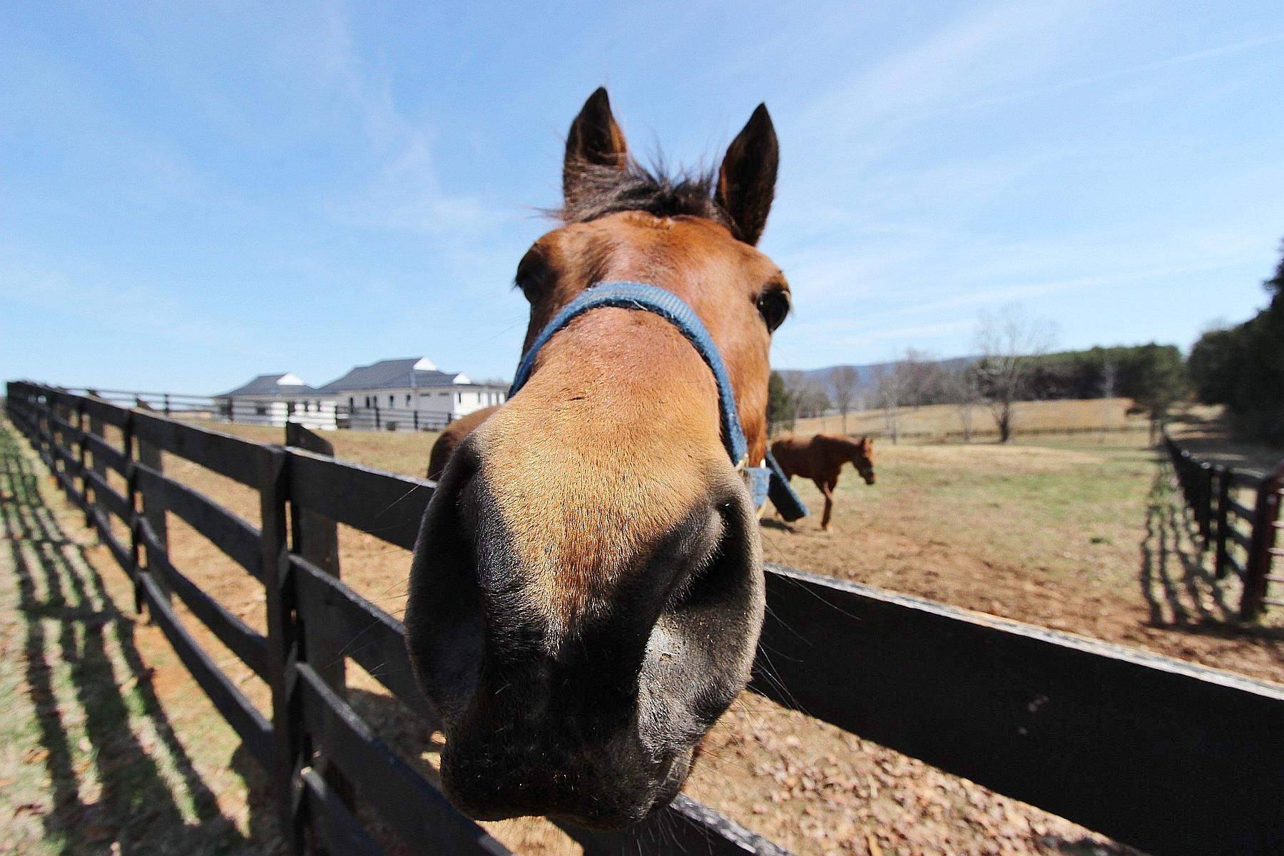 220 Ashmeade Road Moneta, VA 24121 - Photo 46 of 52 IMG_9748