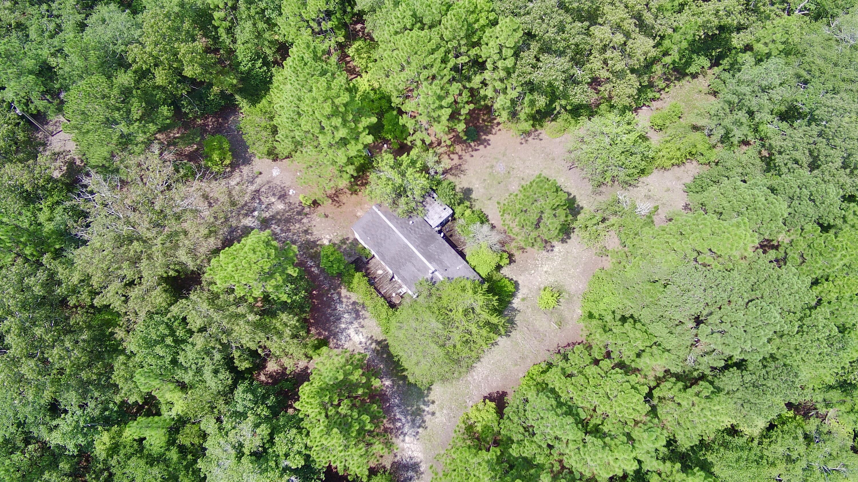 723 Bethcar Church Road Wagener, SC 29164 - Photo 1 of 16