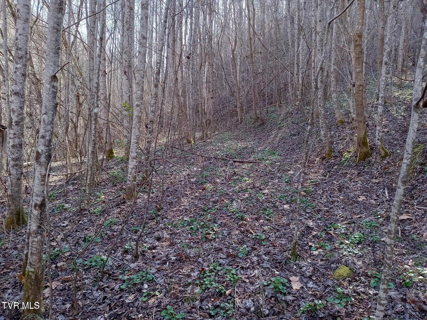 Tbd Toole Creek Road Abingdon, VA 24210 - Photo 9 of 25 *