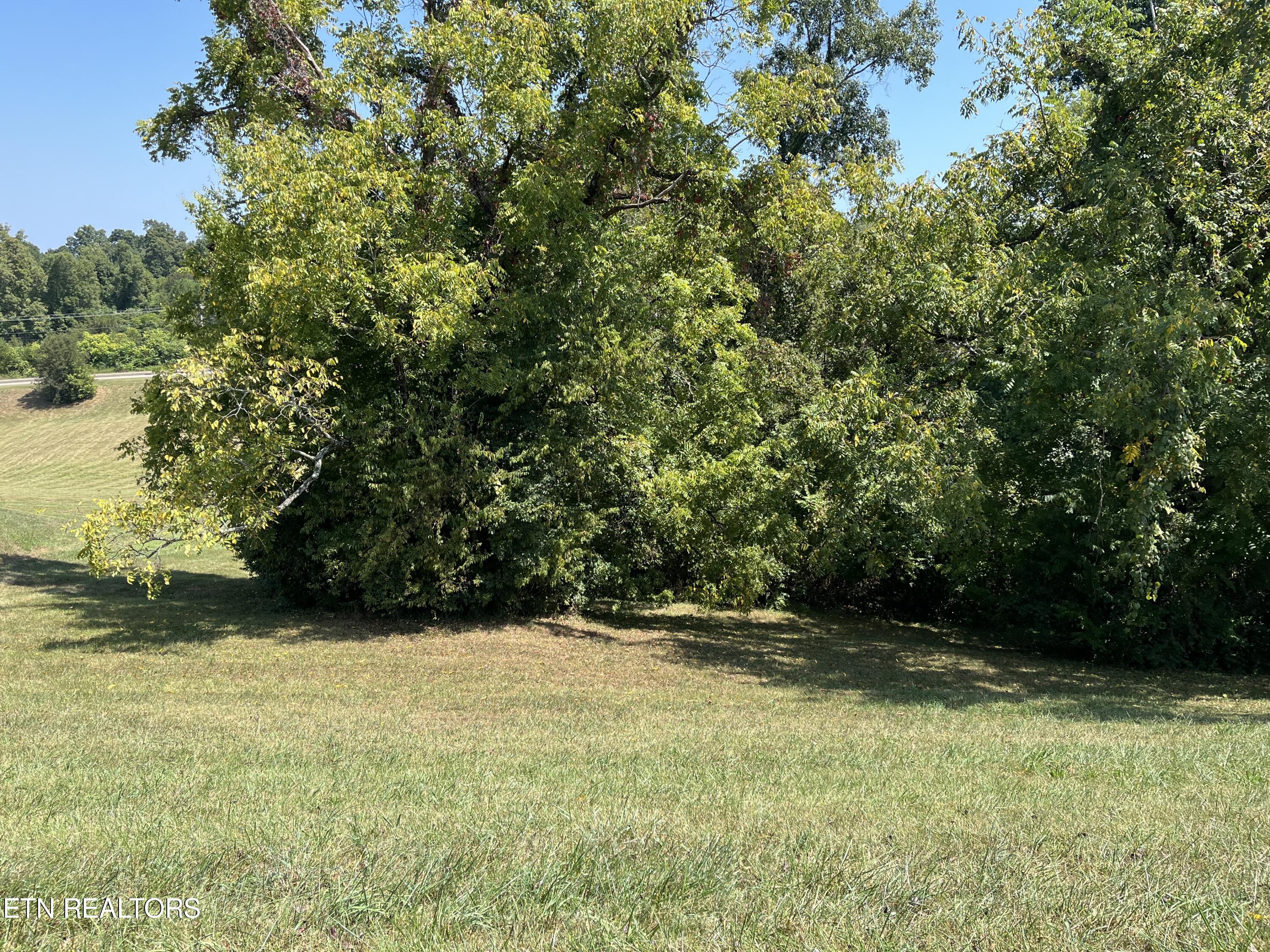 Lot 98 -638 Barnsley Road