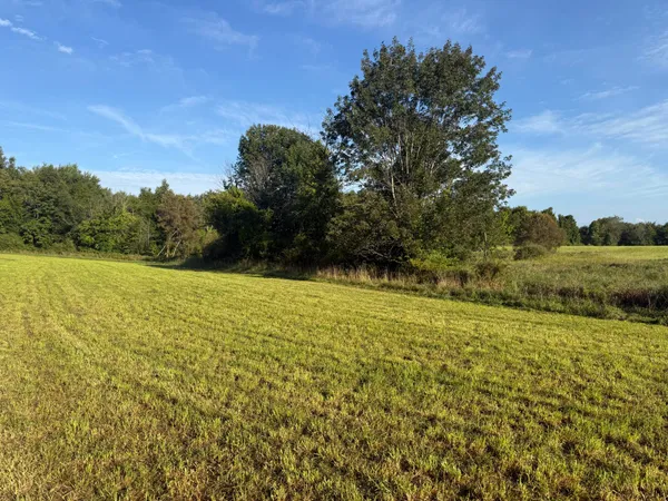 $690,000 | 5414 Bordman Road, Leonard, MI 48367