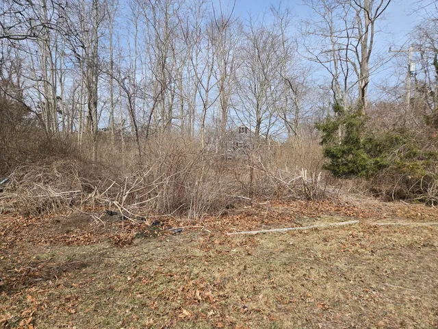 a view of a yard with trees