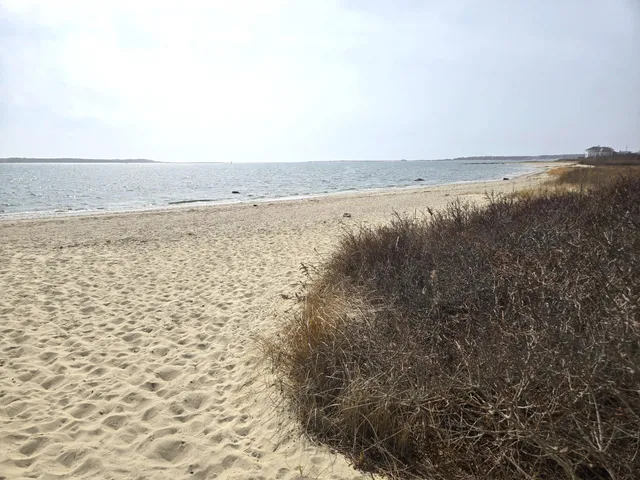 a view of an ocean beach