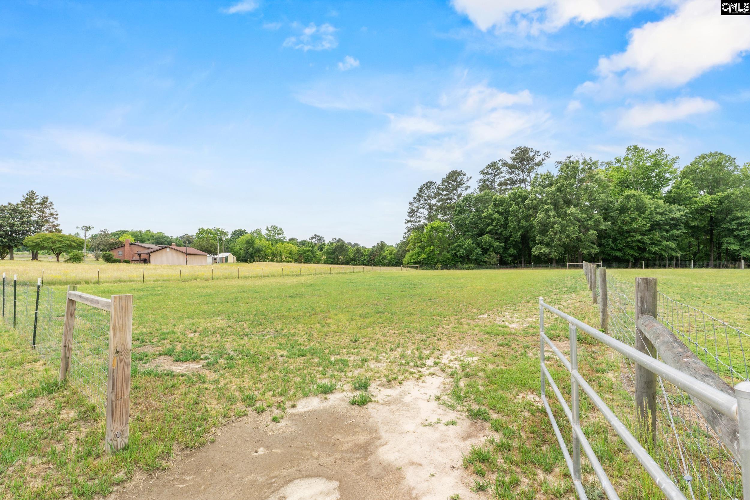 333 Hyler Road Gilbert, SC 29054 - Photo 32 of 41