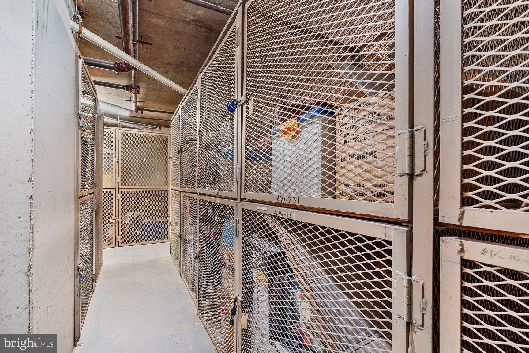 1301 North Courthouse Road, Unit 810 Arlington, VA 22201 - Photo 23 of 31 Storage