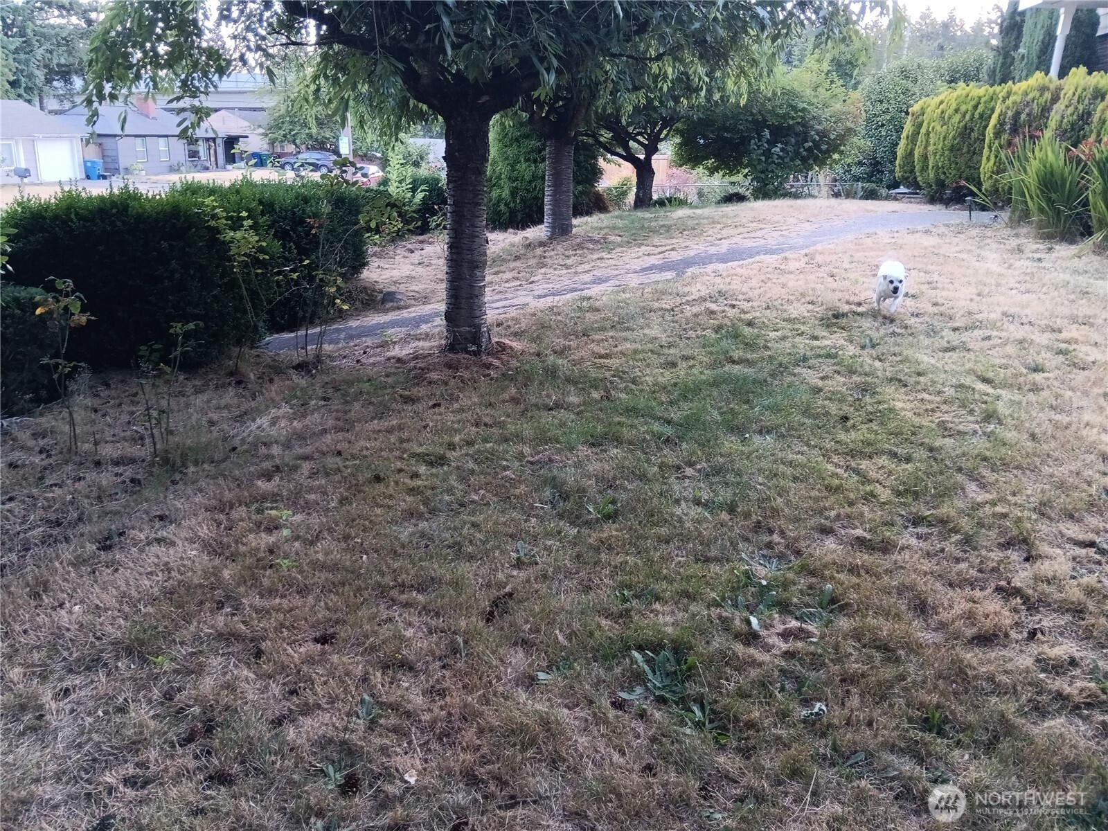 522 Northeast 127th Street Seattle, WA 98125 - Photo 12 of 14