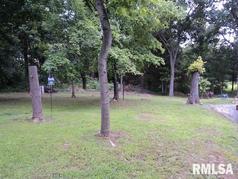 1000 Sally Holler Road Harrisburg, IL 62946 - Photo 19 of 19 Gallery Image 19