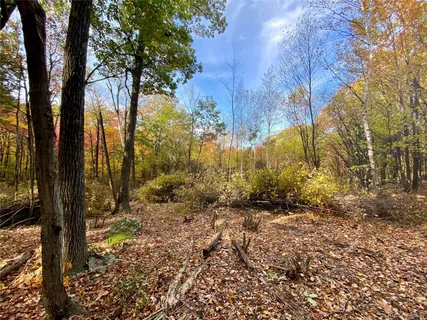 $144,000 | 400 Mercer Mountain Road, East Chatham, NY 12060