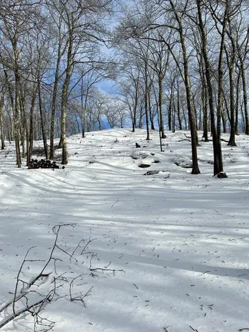 a view of road with trees