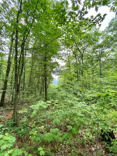 $144,000 | 400 Mercer Mountain Road, East Chatham, NY 12060