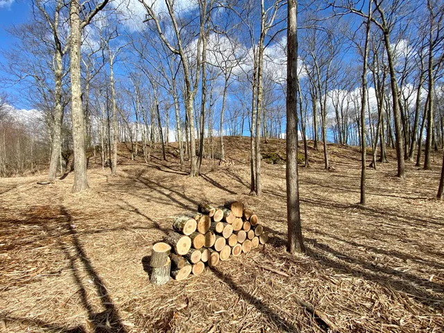 a view of a yard covered with snow