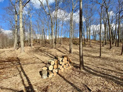 $144,000 | 400 Mercer Mountain Road, East Chatham, NY 12060