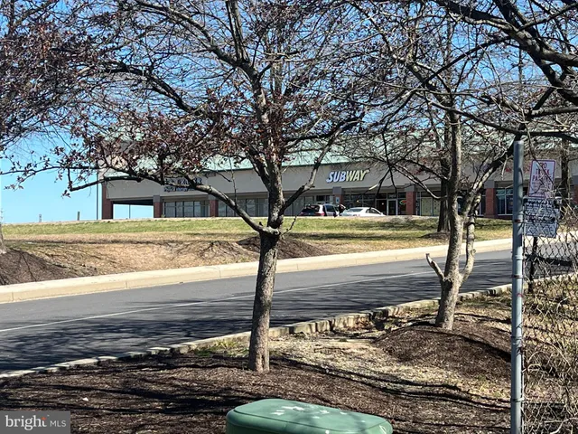 a view of a yard with tree