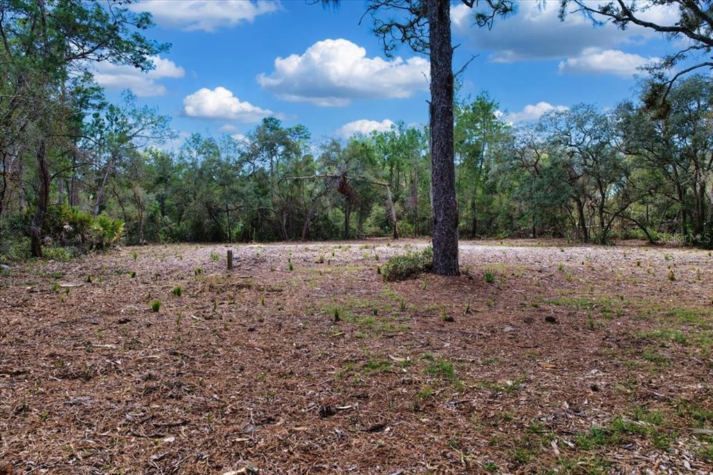 0 Southwest 123rd Terrace Cedar Key, FL 32625 - Photo 8 of 38