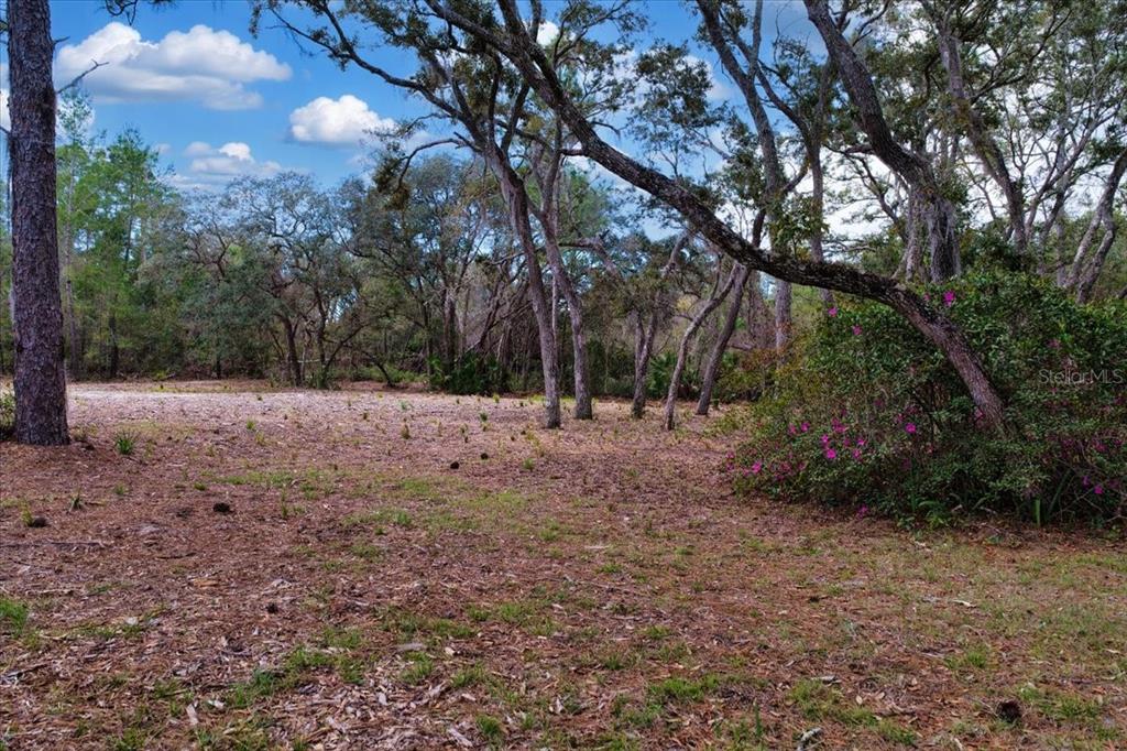 0 Southwest 123rd Terrace Cedar Key, FL 32625 - Photo 9 of 38