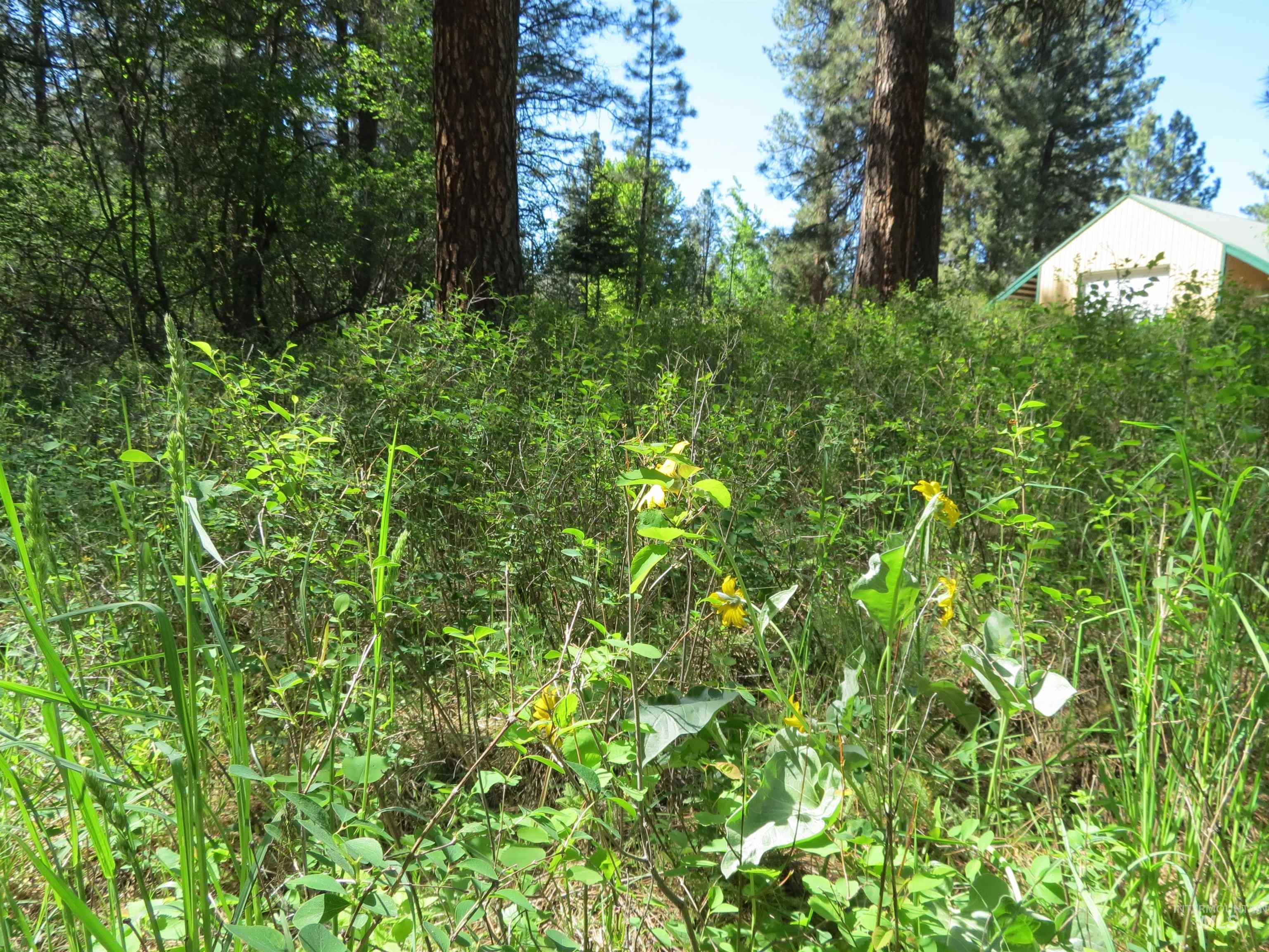 Parcel C Caseys Road Garden Valley, ID 83622 - Photo 16 of 20