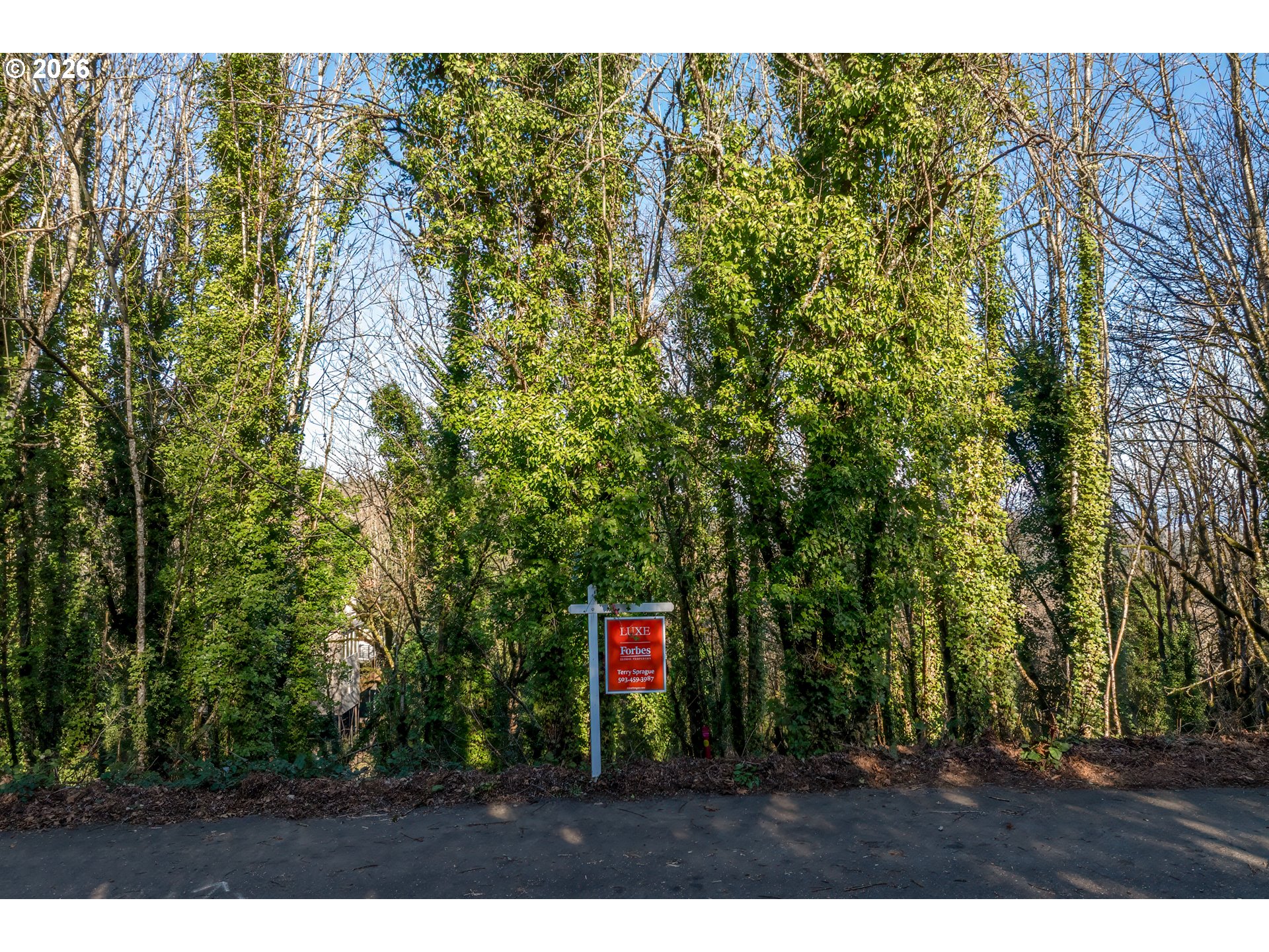 Northwest Royal Boulevard Portland, OR 97229 - Photo 6 of 7