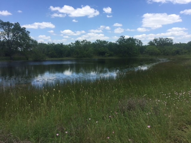 0 Schuelke Road, Unit TRACT5 Lockhart, TX 78644 - Photo 1 of 1