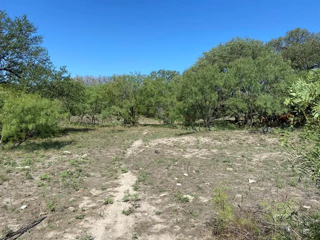 a big yard with lots of green space