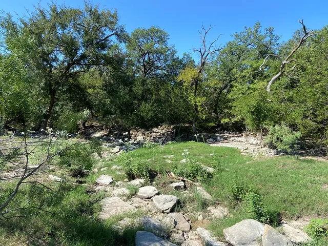 a view of a green field with lots of bushes