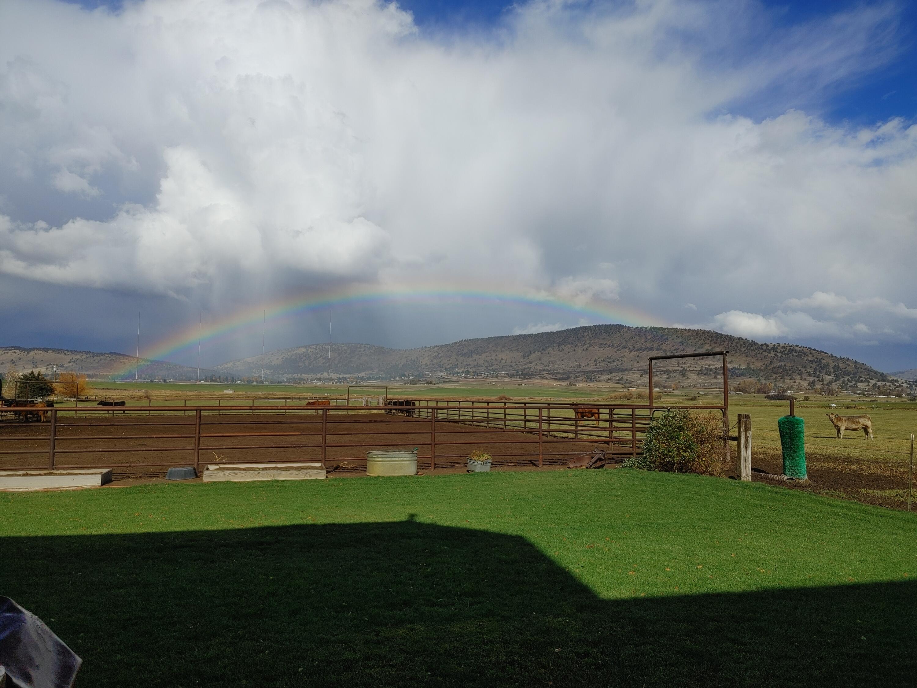 11251 Crystal Springs Road Klamath Falls, OR 97603 - Photo 57 of 64 back yard and pasture