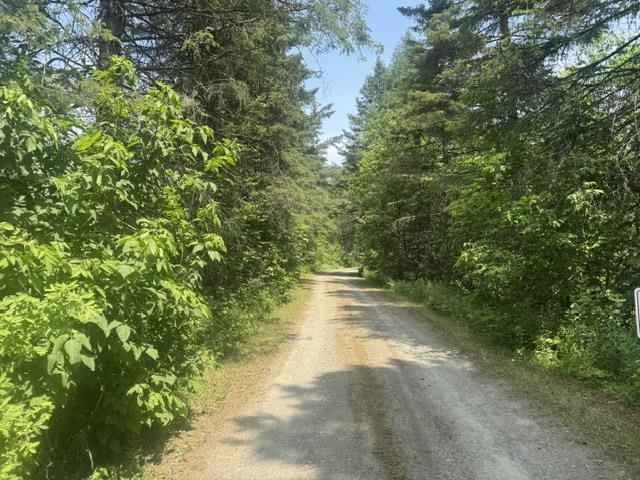 629 South Craftsbury Road Craftsbury, VT 05826 - Photo 48 of 54