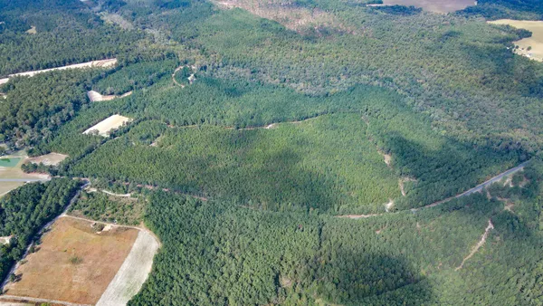 $301,000 | Tbd Mt Beulah Road, Windsor, SC 29856