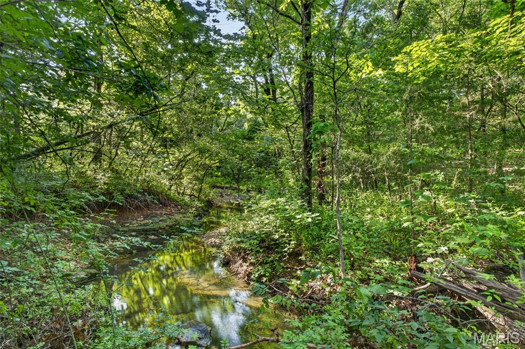 5 Cantrell Road Mansfield, MO 65704 - Photo 8 of 16