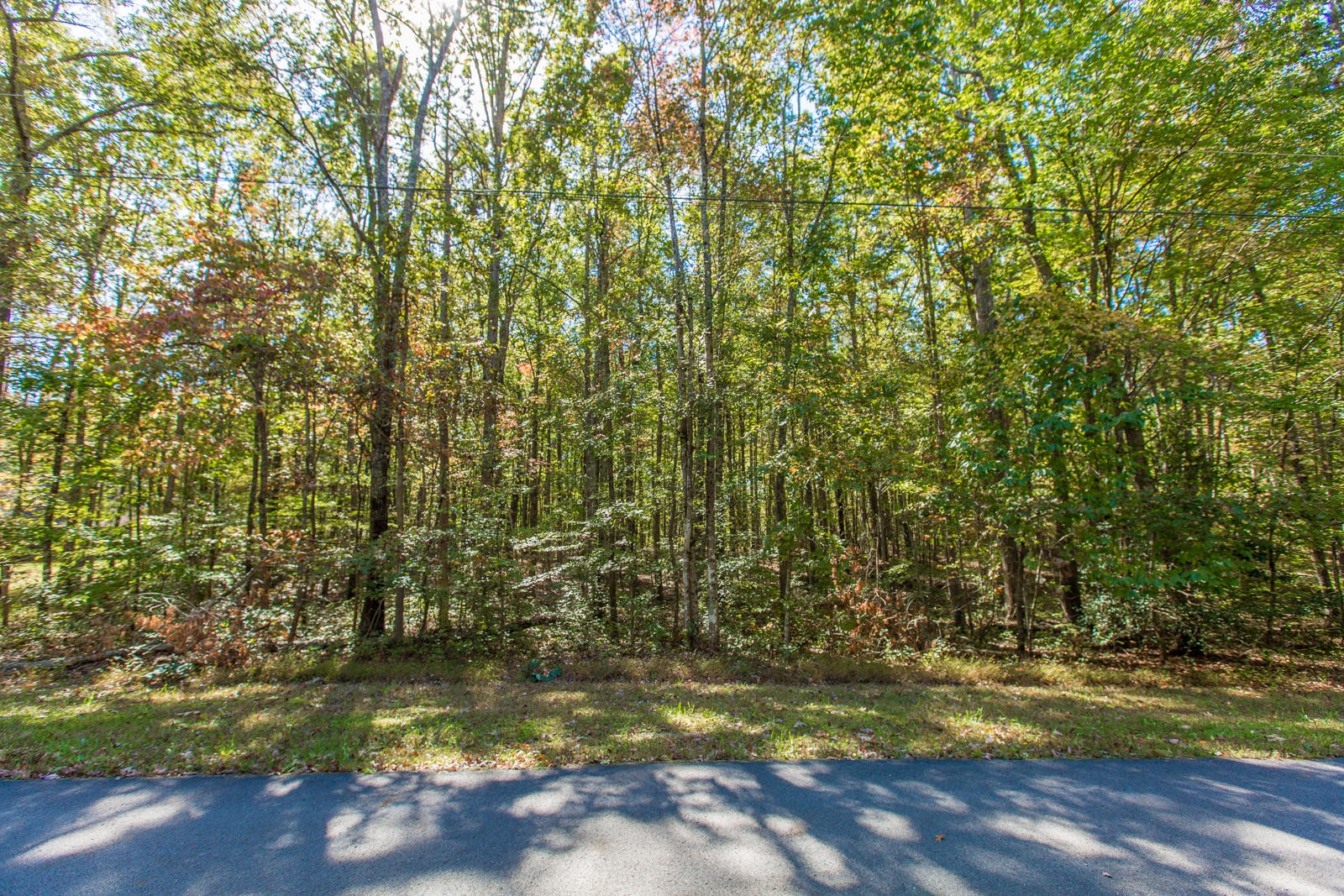 2341 Little Bend Road Signal Mountain, TN 37377 - Photo 5 of 10 Gallery Image 5