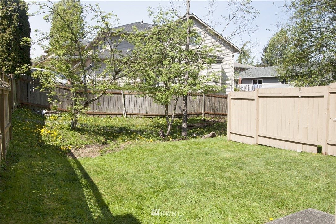 7526 Lower Ridge Road Everett, WA 98203 - Photo 3 of 3 a view of a backyard with plants and a large tree