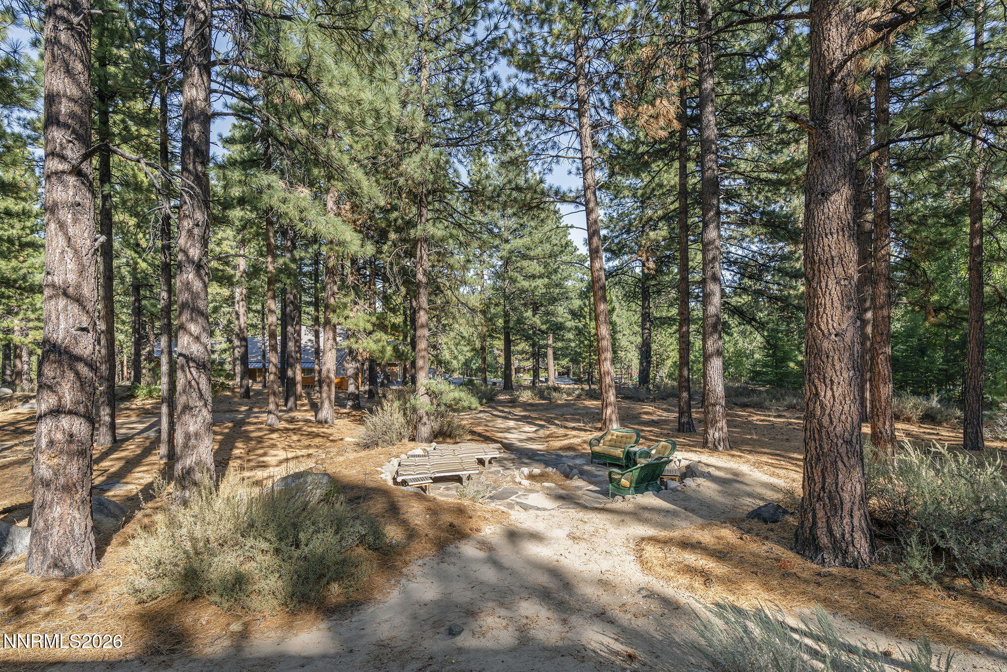 1530 Austrian Pine Road Reno, NV 89511 - Photo 36 of 47 36-web-or-mls-_DSC1888