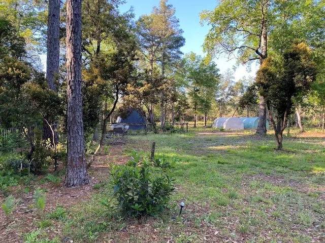 a view of park space