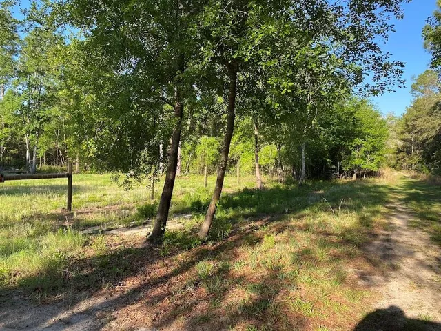 a view of a yard with a tree