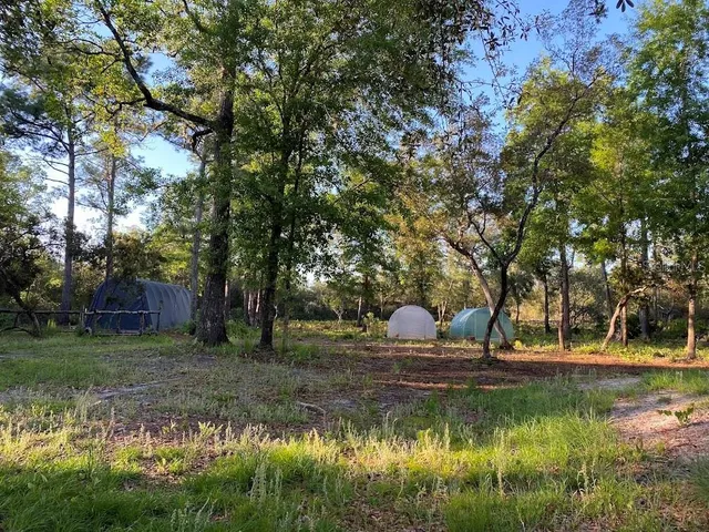 a view of swimming pool with yard