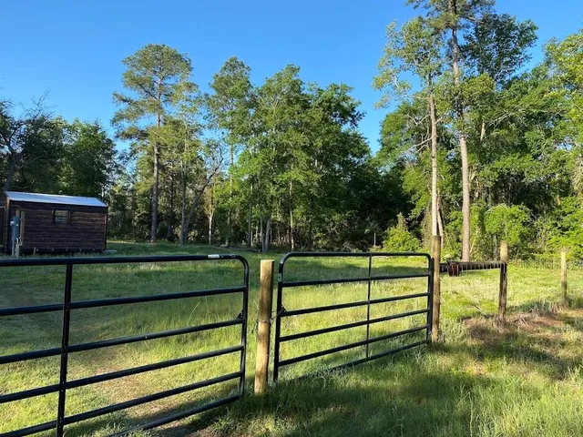 a view of park with bench