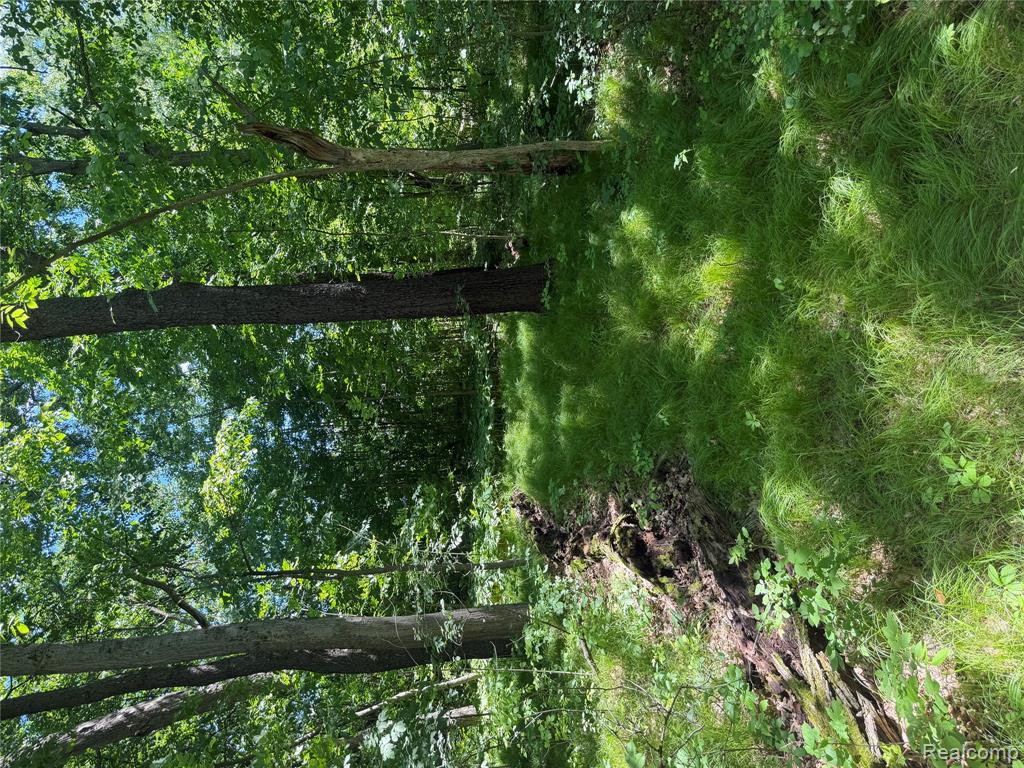 0 Deer Ridge Trail Holly, MI 48442 - Photo 10 of 14