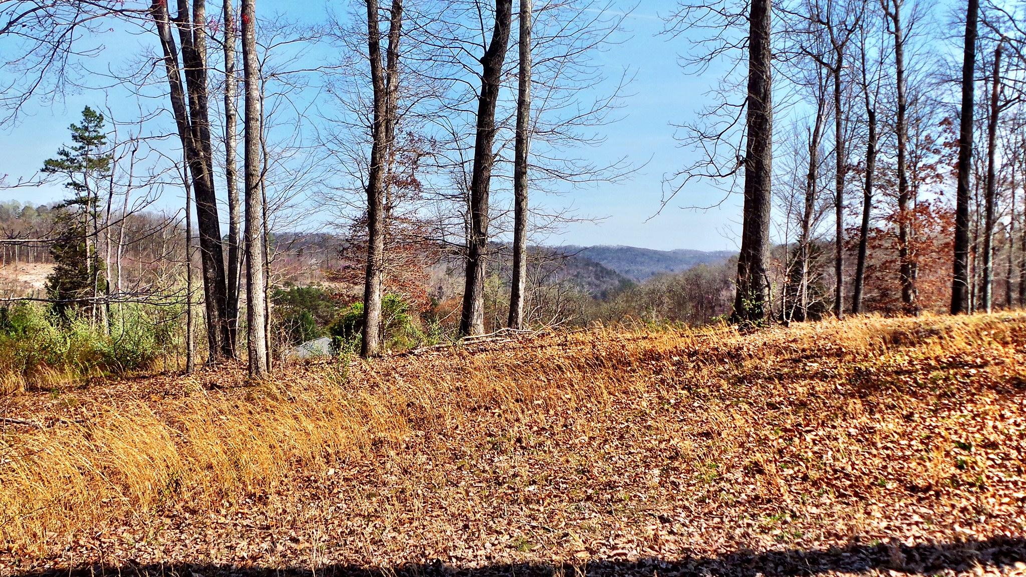 9733 Hidden Branch Lane Heiskell, TN 37754 - Photo 3 of 7 IMG_2196